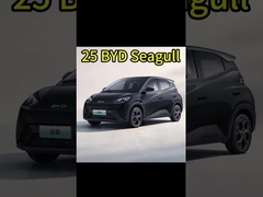 Les voitures électriques chinoises