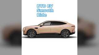 BYD EV Voitures Empattement 3020 mm L2 Assist Pneus 18 pouces