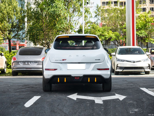 Euler Good Cat GT Chinese EV Cars 401KM Niveau de conduite assistée L2