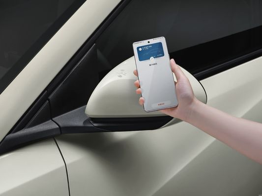 2025 BYD Seagull, conduite intelligente améliorée, configuration de sécurité améliorée.